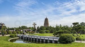 2026世界杯官网 新乡绿化有限公司中山分公司
